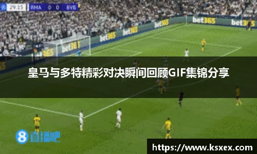 k1体育